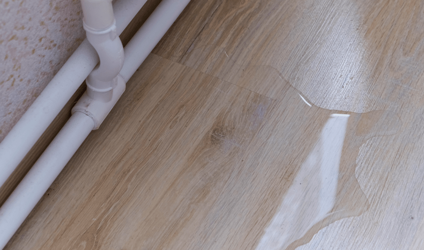 LEAK DETECTION